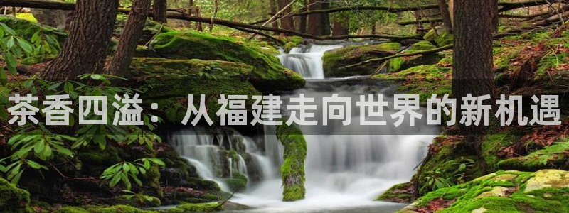 鸿运平台投资诈骗事件