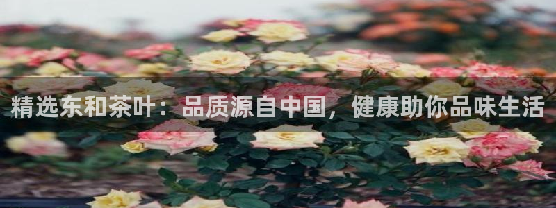 鸿运彩 票诈骗平台