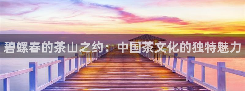 鸿运宝金融投资平台