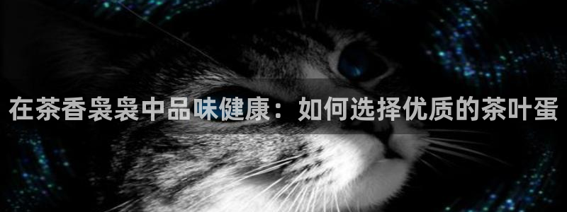 鸿运当头网贷平台