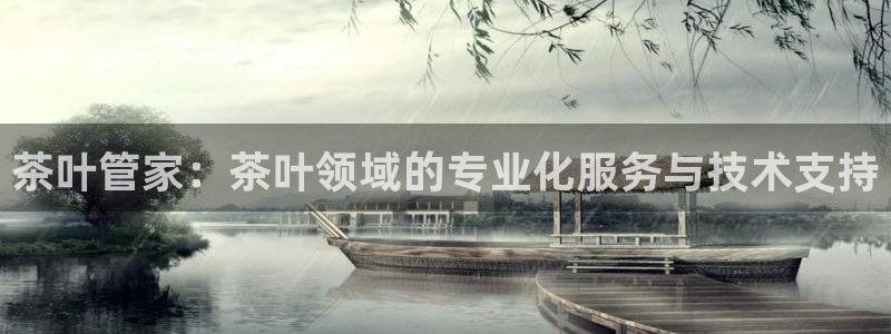 鸿运平台带赚