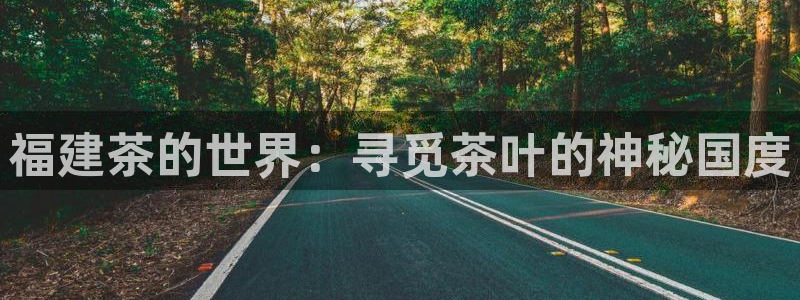 鸿运矿机平台
