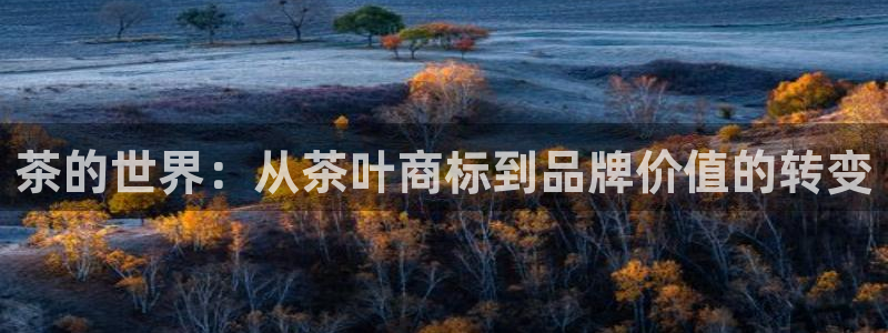 琥珀鸿运是怎样的平台