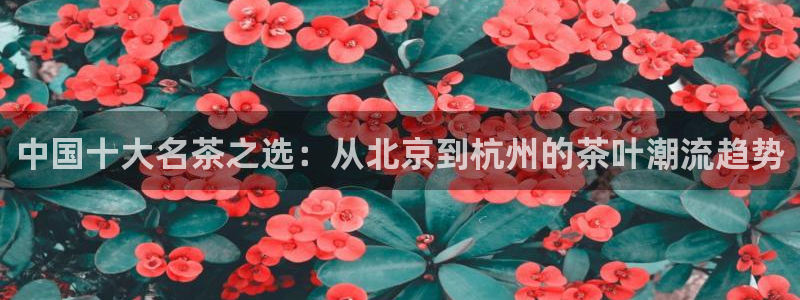 鸿运国际游戏平台
