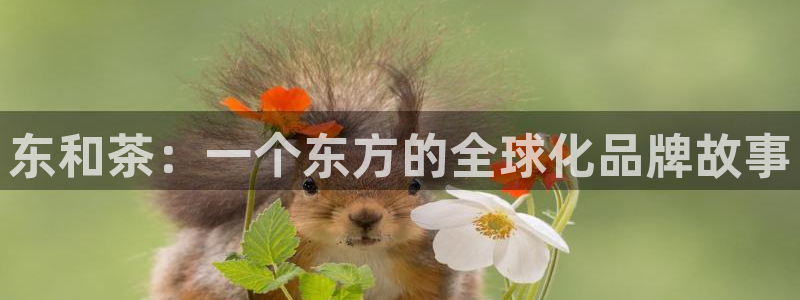 鸿运彩票平台怎样下载