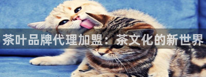 鸿运彩票网络平台