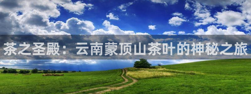 鸿运宝金融投资平台