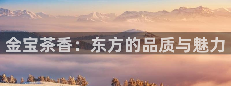 鸿运北斗监控平台