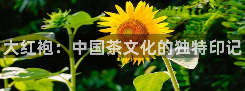 鸿运彩票平台注册