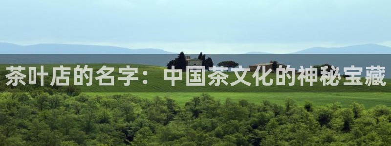 鸿运赌城开户平台