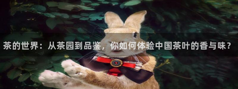鸿运798平台