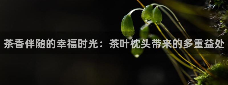 鸿运最新平台叫什么
