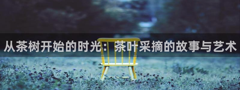 鸿运策略股票平台