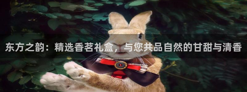 鸿运投资平台客服电话