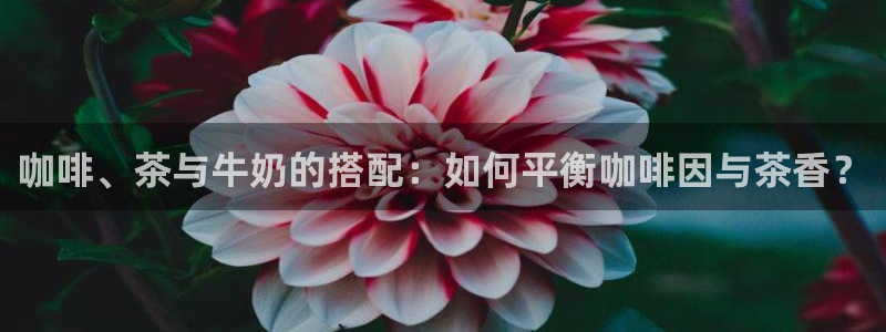 鸿运专业购彩平台