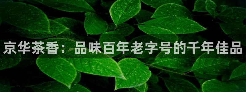 鸿运平台靠谱吗