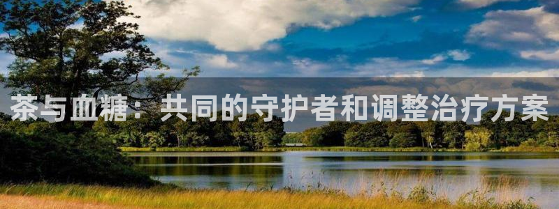 鸿运平台投资诈骗事件