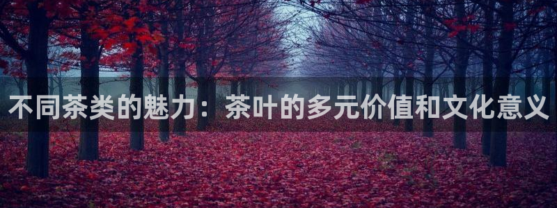 鸿运在线投资平台