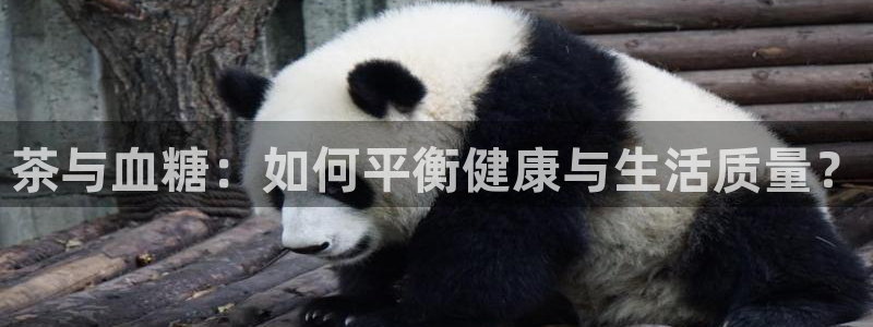 鸿运网络麻将平台