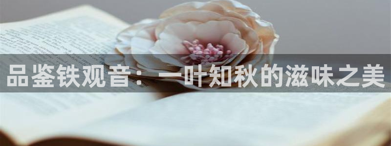 鸿运国际平台台