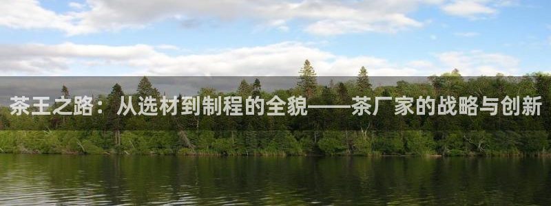 中国鸿运是什么平台