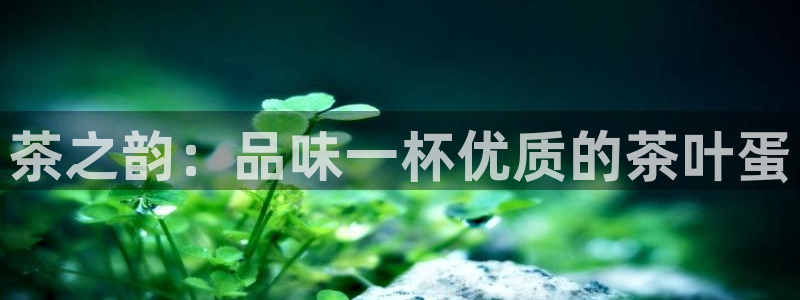 鸿运通平台客服