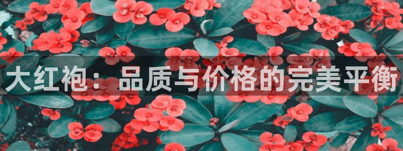鸿运兄弟创造平台