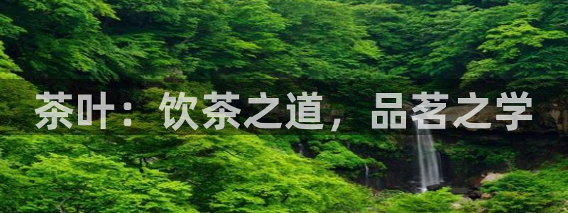 鸿运到游戏平台