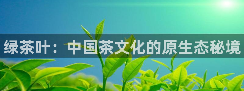 鸿运通平台可靠吗