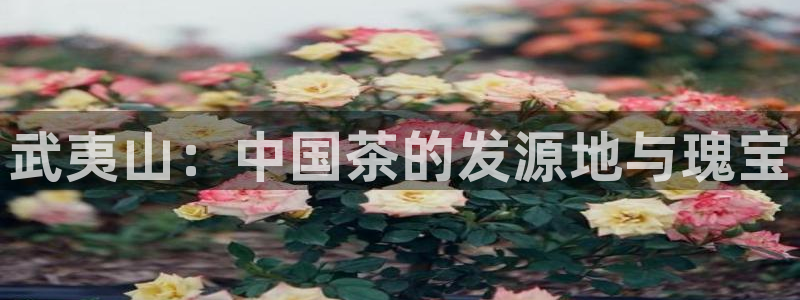 鸿运最佳网投平台