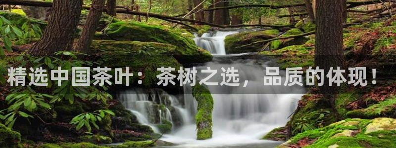 鸿运平台在线客服