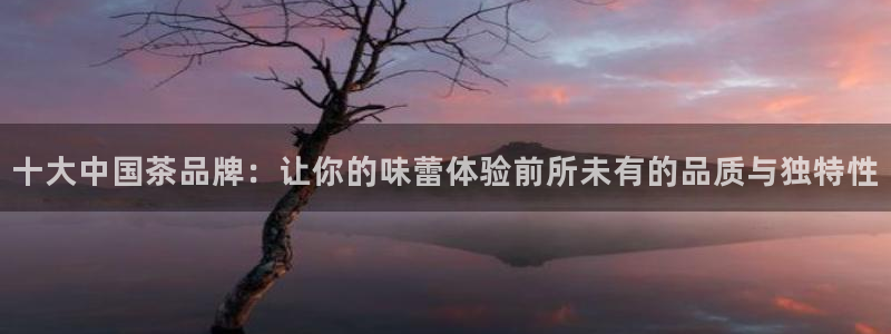 鸿运平台app下载