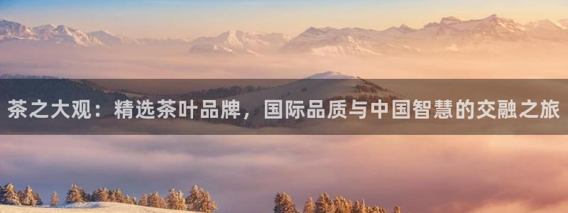 鸿运国际平台平台介绍