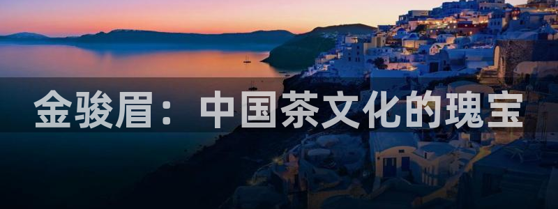 鸿运汽车团购平台