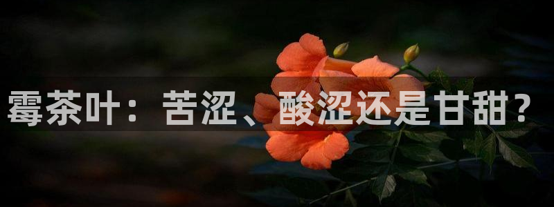 鸿运推广平台代理