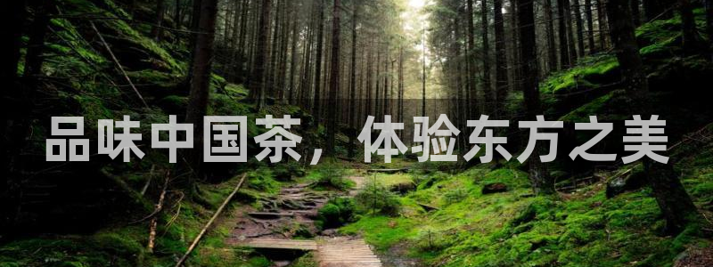 下载app鸿运平台