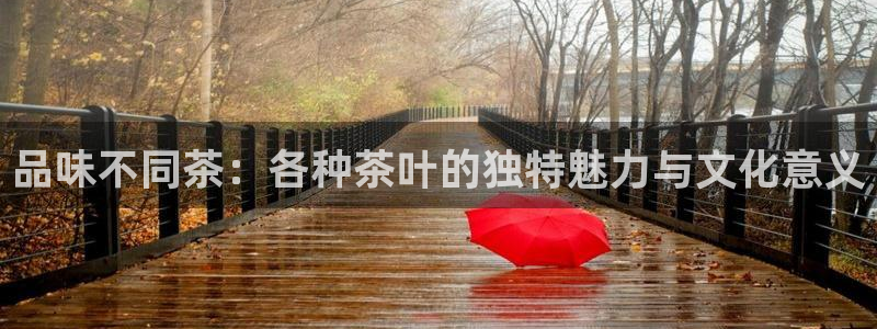 鸿运平台是骗局吗