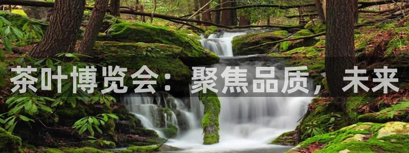 鸿运彩票是正常的平台吗