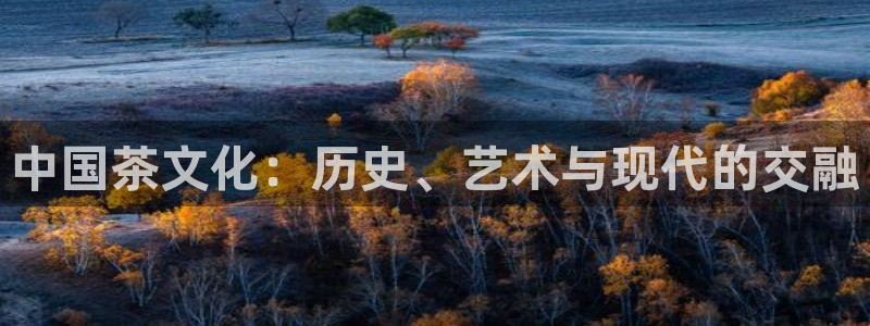 琥珀鸿运彩票平台靠谱吗