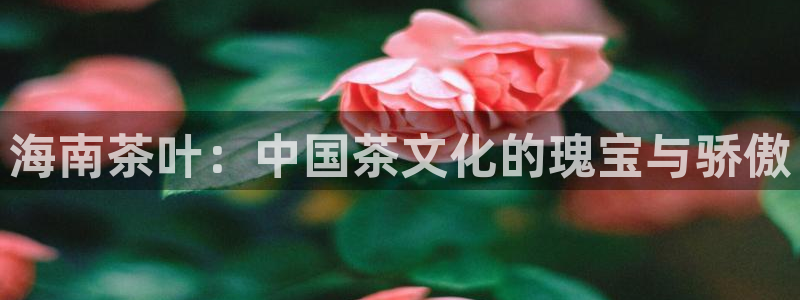 鸿运华宁技术平台