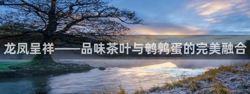 铜陵鸿运拍卖平台