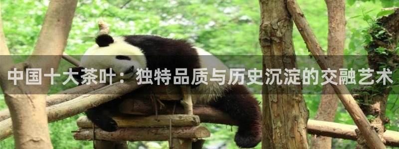 鸿运策略平台股票骗局