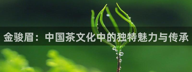 鸿运体育平台网址