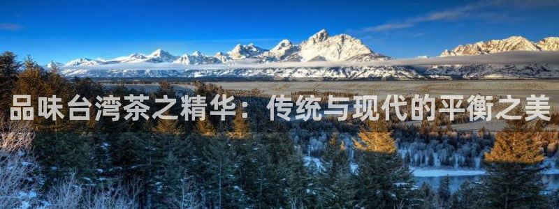 鸿运物流直播平台