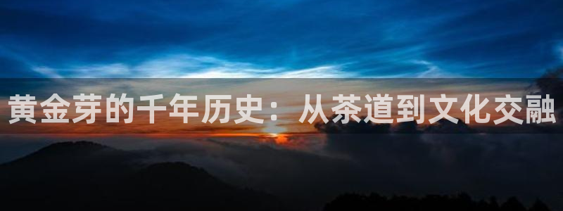 鸿运平台是干嘛的