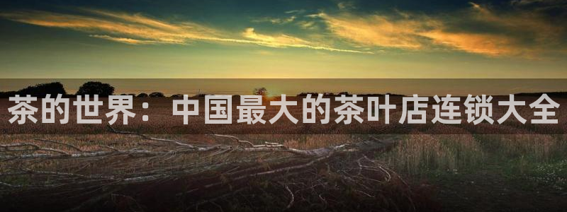 焦作鸿运团体直播平台