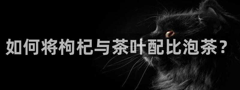 鸿运当头直播平台