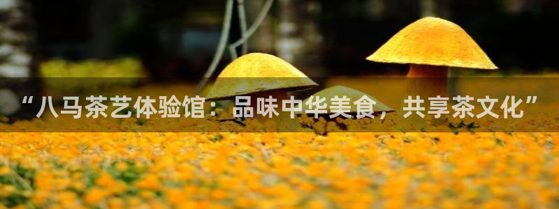 鸿运寄卖回收平台