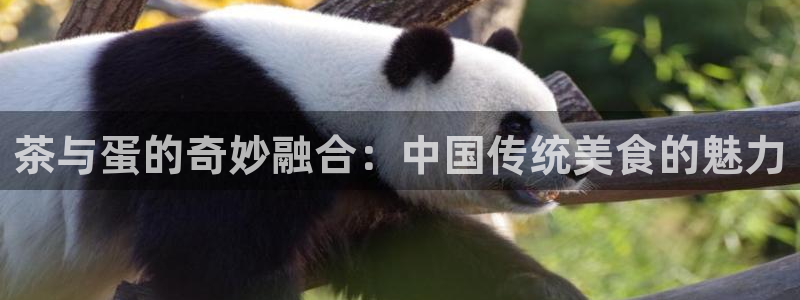 鸿运到平台被骗