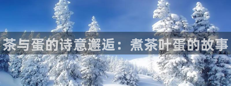 鸿运网上娱乐平台